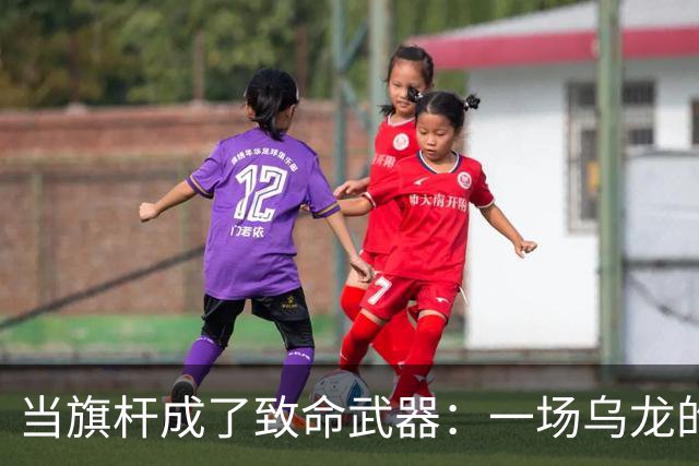 当旗杆成了致命武器：一场乌龙的家暴悲剧